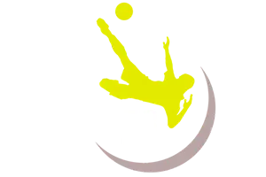 pro-soccer-data_300x200_inv